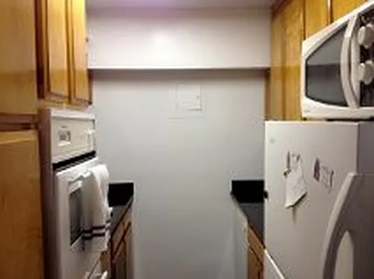 Rented by Manhattan Apartment Organization | media 104