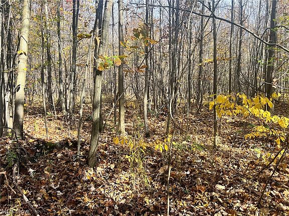 5th image of Marrian Rd