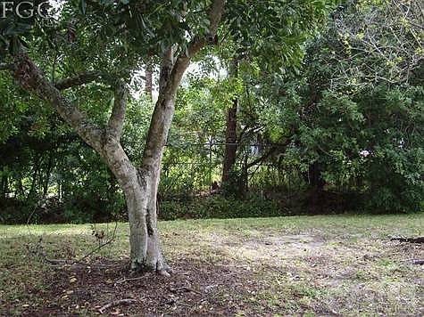 3rd image of 3150 Orchard Dr