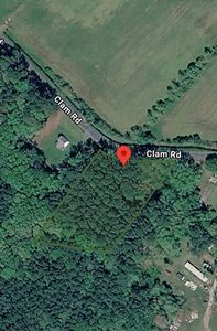 Clam Rd, Bloxom, VA, 23308