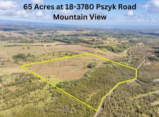 18-3780 S Pszyk Rd, Mountain View, HI 96771
