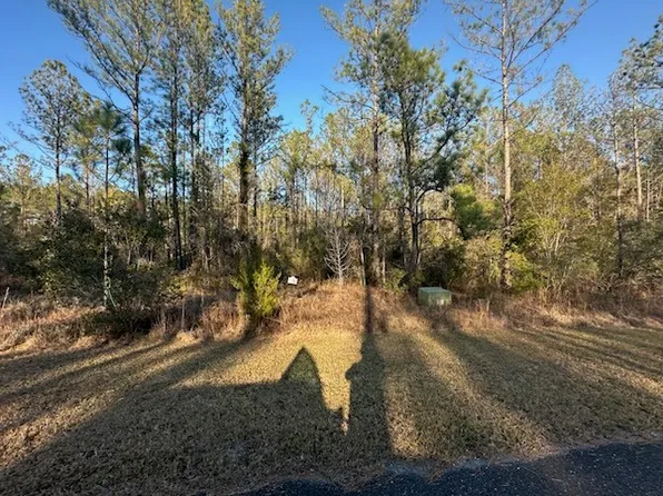 O'P Ln, White Oak, GA 31568