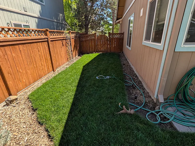Side of house in enclosed back yard; gate leading to front of house