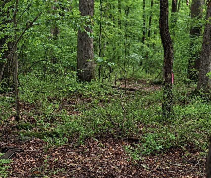 1st image of Boulder Rd