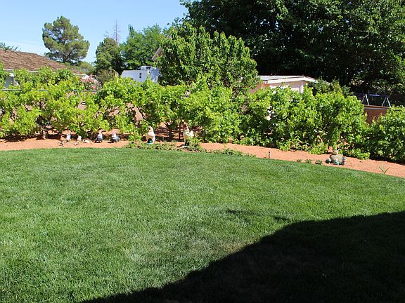 5th image of 3165 W Canyon View Dr