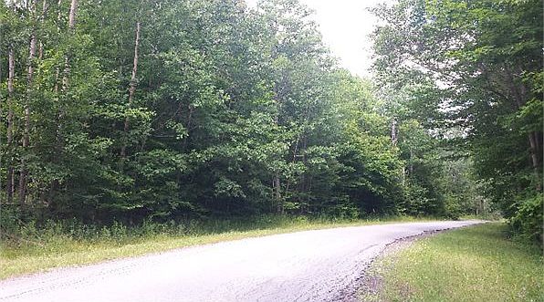 2nd image of 4386 Dry Brook Rd