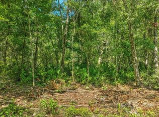 SE 203rd Ave, Old Town, FL 32680