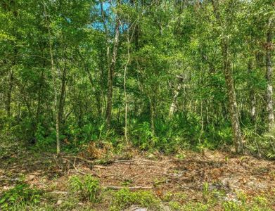  SE 203rd Ave, Old Town, FL, 32680