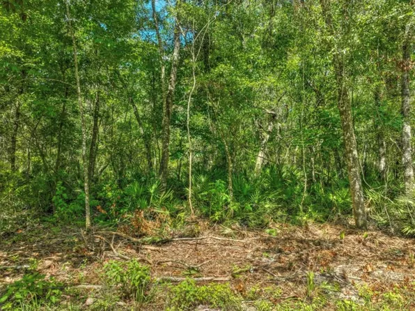  SE 203rd Ave, Old Town, FL 32680