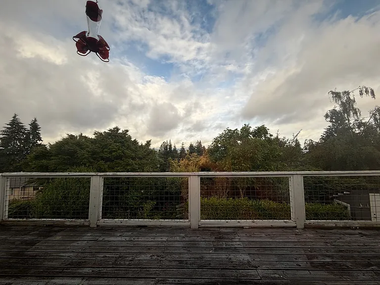 2729 Ash St — Photo 6