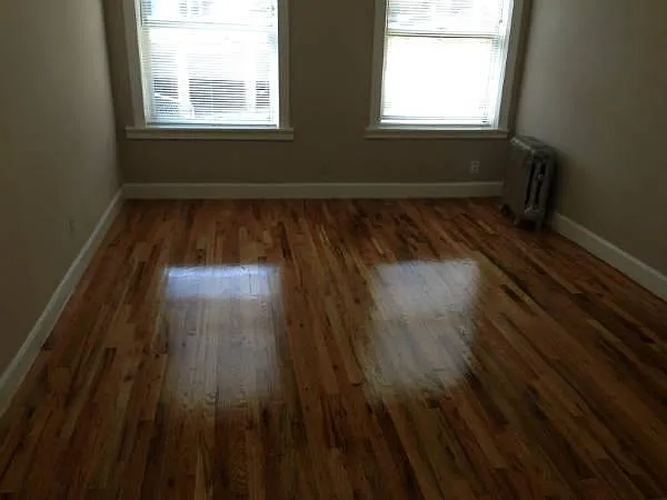 1 bed, 1.0 bath, $1,350 — Photo 2