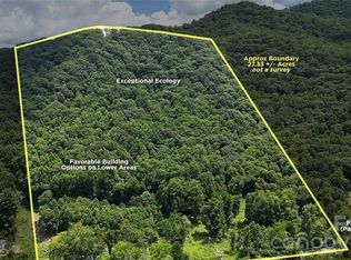 Paint Fork Rd, Barnardsville, NC 28709
