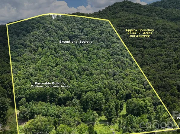 Paint Fork Rd, Barnardsville, NC 28709