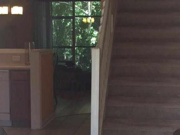 4th image of 8435 Twisted Vine Ct