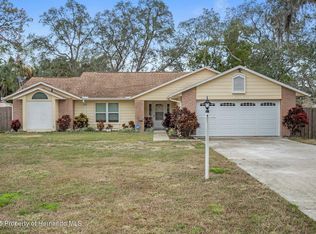 6296 Alderwood St, Spring Hill, FL 34606