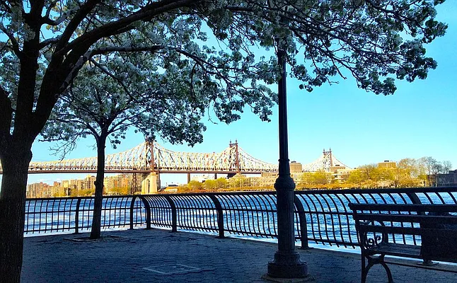 Sold by Keller Williams NYC | media 17