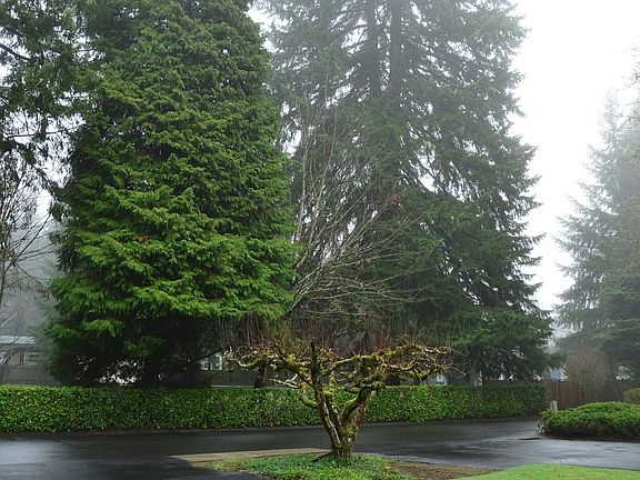 5th image of 2935 60th Ln SE #B