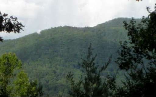 2nd image of 5936 Brasstown Creek Est