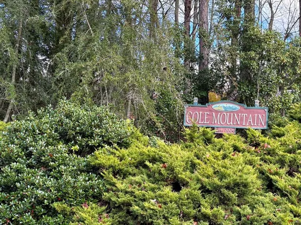 17 Blue Cedar Rd, Sylva, NC 28779