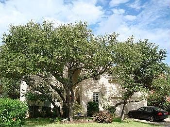 1st image of 1813 Country Squire Dr