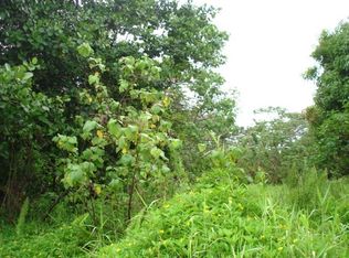 27th Ave LOT 219, Keaau, HI 96749