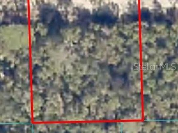 0 NE 233rd Ln #19, Fort Mc Coy, FL 32134