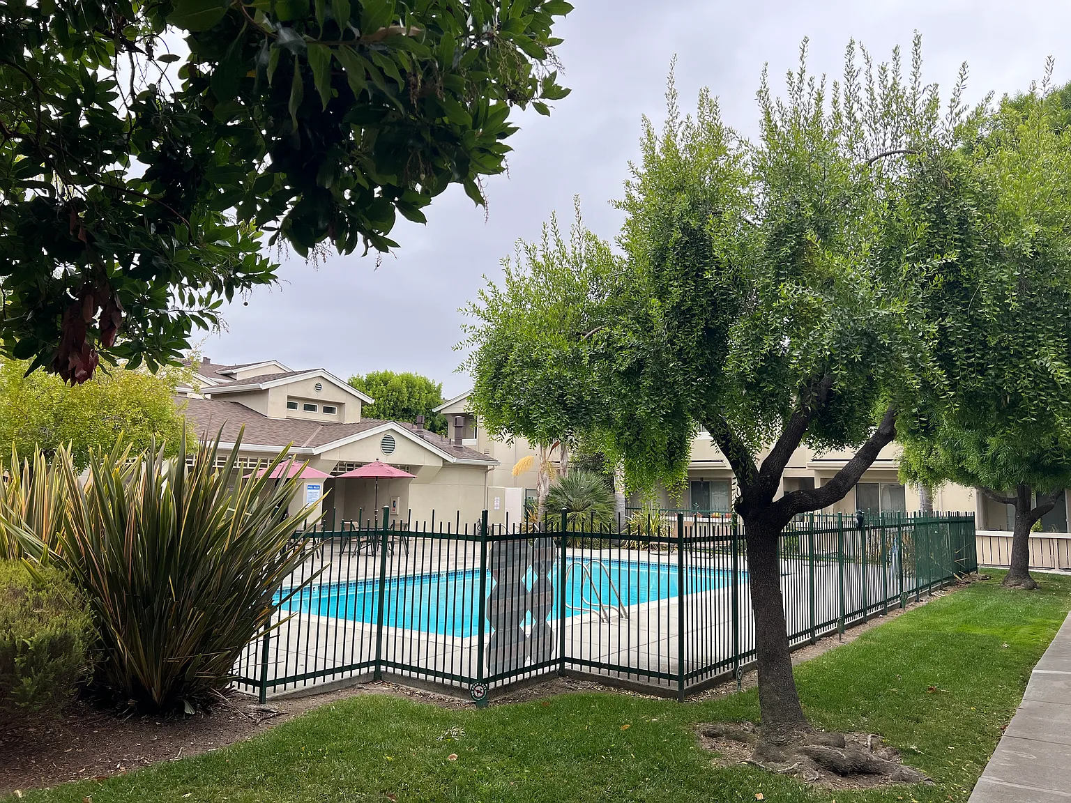 1 bed, 881 sqft, $3,500 — Photo 2