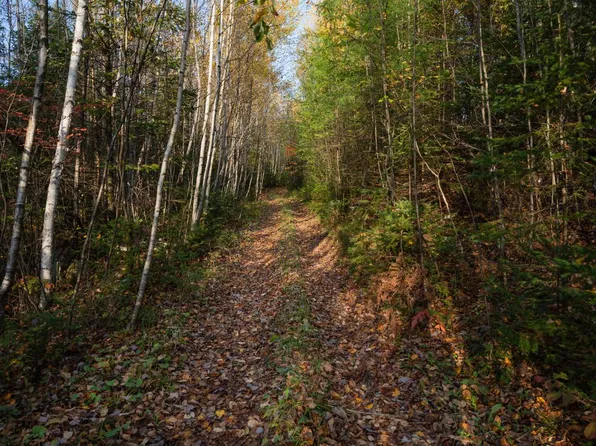 Maple Ridge Rdg, Pickerel, WI 54465