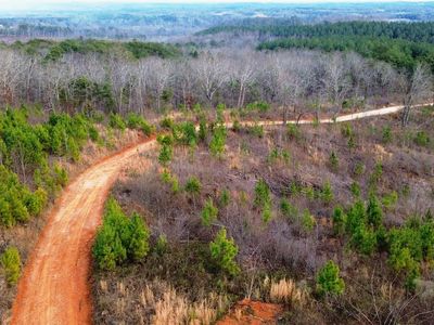 Highway 49 Acres #228, Lineville, AL, 36266