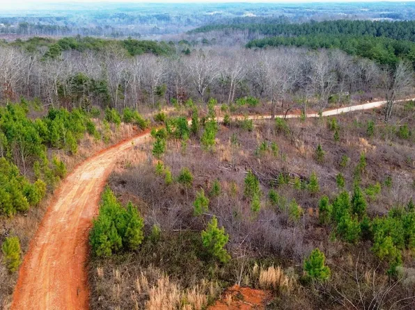 Highway 49 Acres #228, Lineville, AL 36266