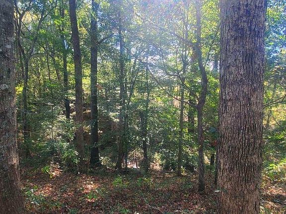 3rd image of 0 County Road 3319 Lot 6