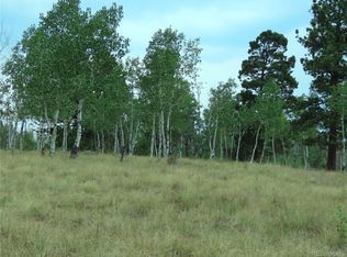 55 Summit Dr, Florissant, CO 80816