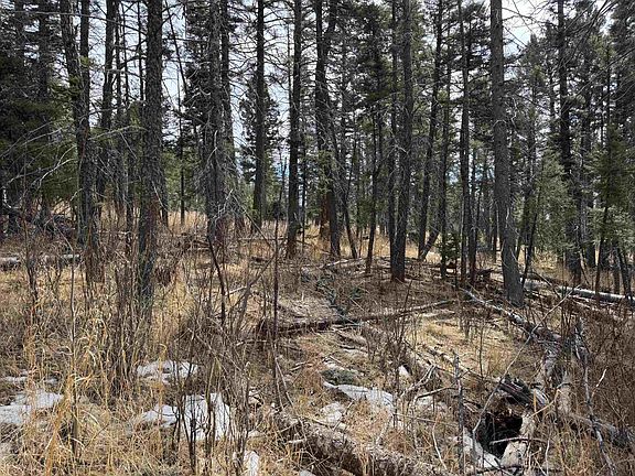 5th image of lot 1367 Skyview  Way