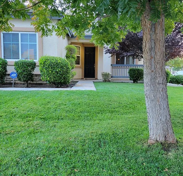 2274 Purple Finch Ct — Photo 15