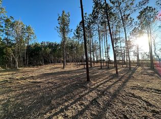 324 County Road 1641, Long Branch, TX 75669