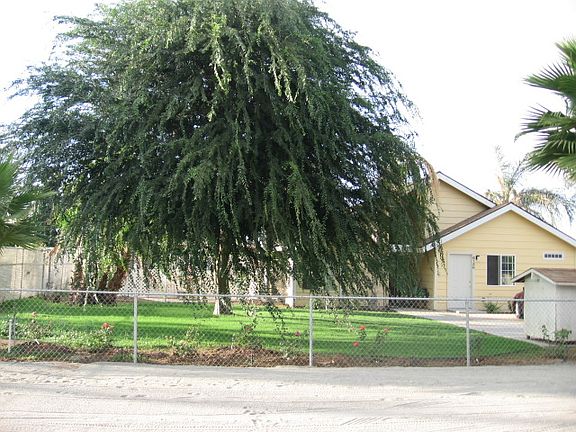6 ft fence back yard