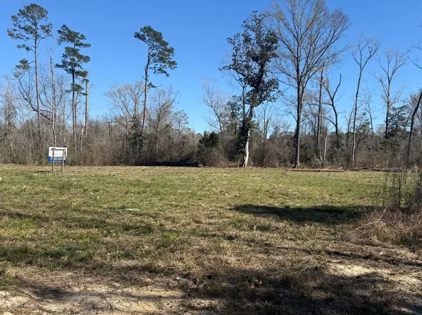 LOT 2 Music Ln, Springfield, LA 70462