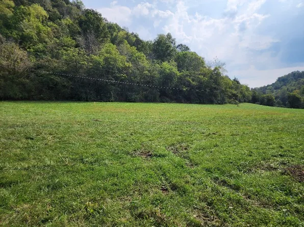 0 Webster Branch Ln Lot 4, Whitleyville, TN 38588