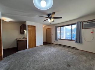 229 19th Ave SW #9, Rochester, MN 55902