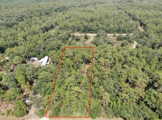 Vacant Ne Timber River Loop #1, Lee, FL 32059