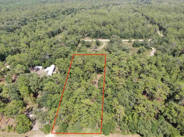 Vacant Ne Timber River Loop #1, Lee, FL 32059