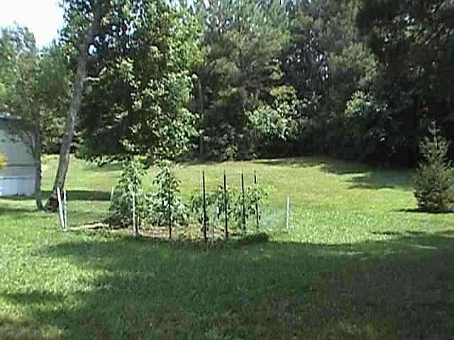 2nd image of 3120 Ladd Springs Rd SE