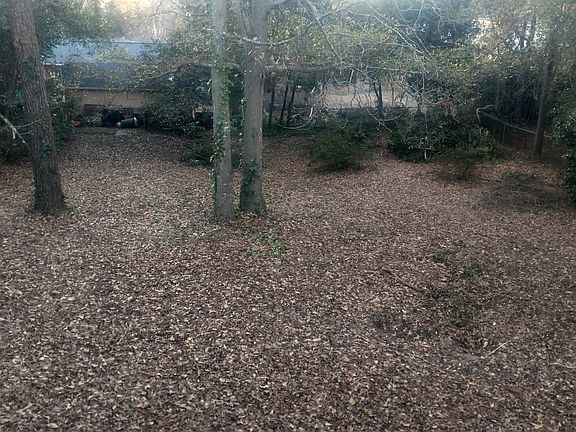 Huge fenced backyard