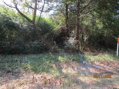 19874 Fm 345, Arp, TX, 75750