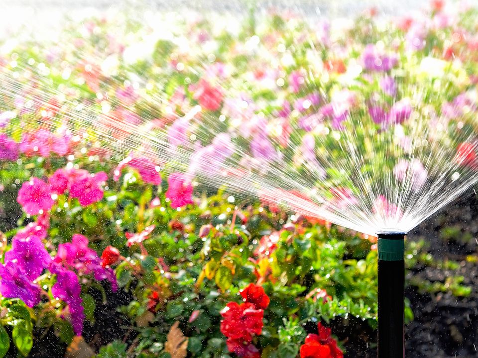 Your best move yet is in full bloom - save 10K with DOUBLE seller credit. Offer wilts after 05 07.