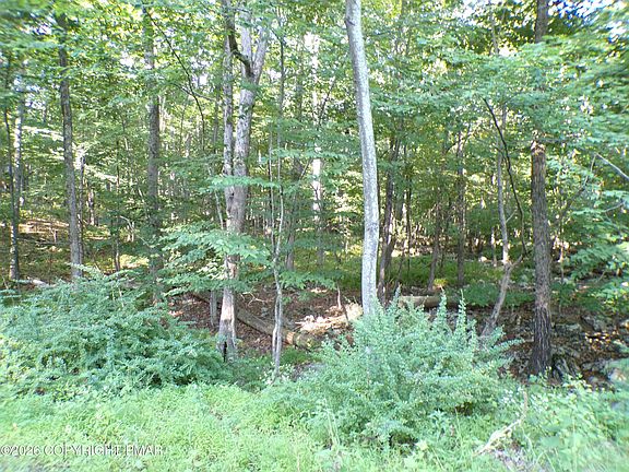 2nd image of Blue Ridge Dr #1208