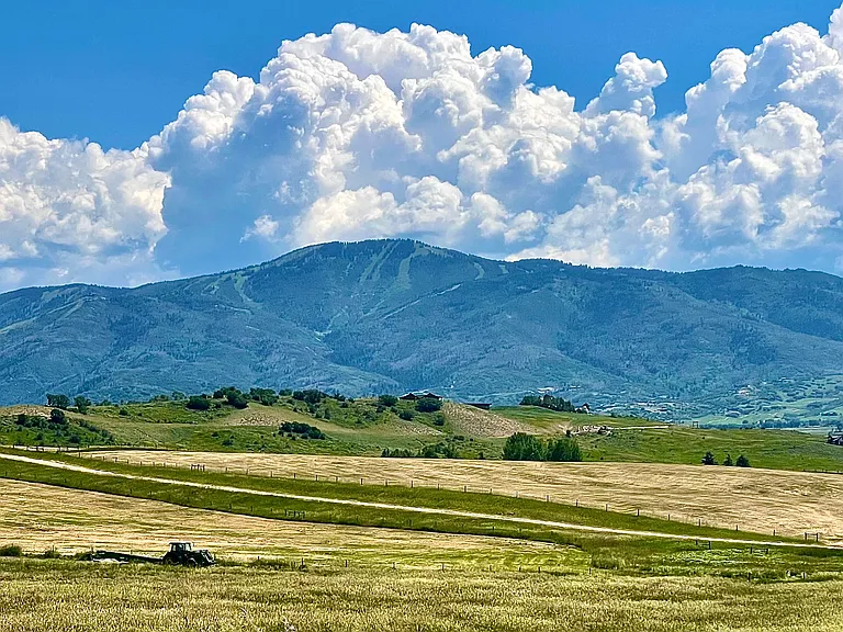View of hay meadows in summer