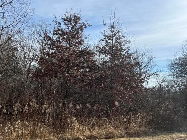 2480 Cattail Rdg, Muscatine, IA 52761