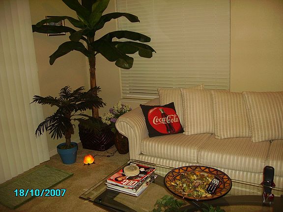 Living Room Area