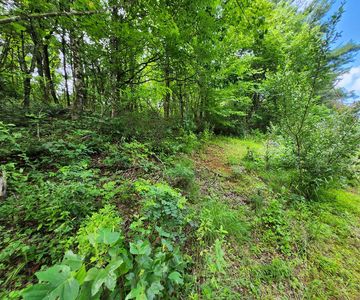 Tbd Hickory Hollow Ln, Copper Hill, VA, 24079